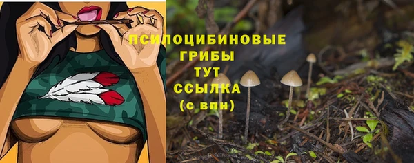 mdpv Белокуриха