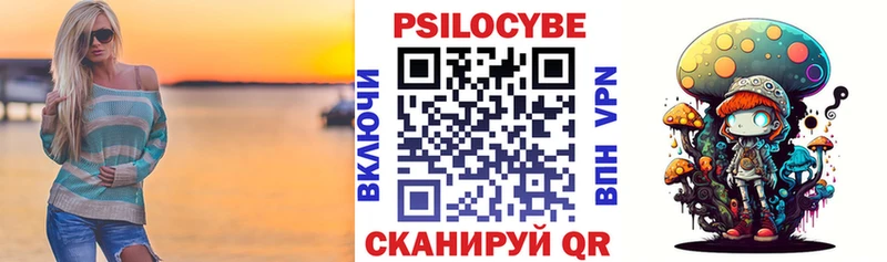Галлюциногенные грибы Psilocybe Волжск